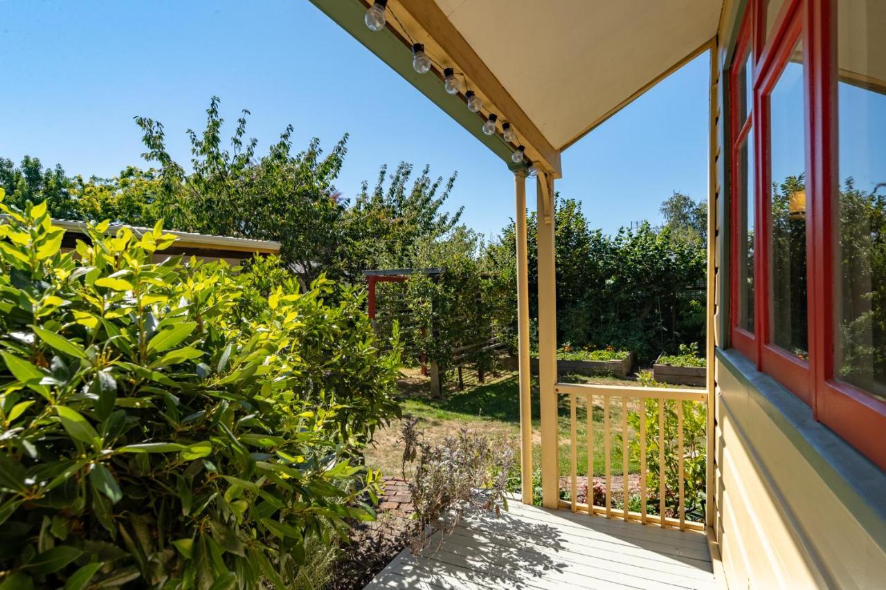 Shy Cottage And Studio Greytown Bagian luar foto