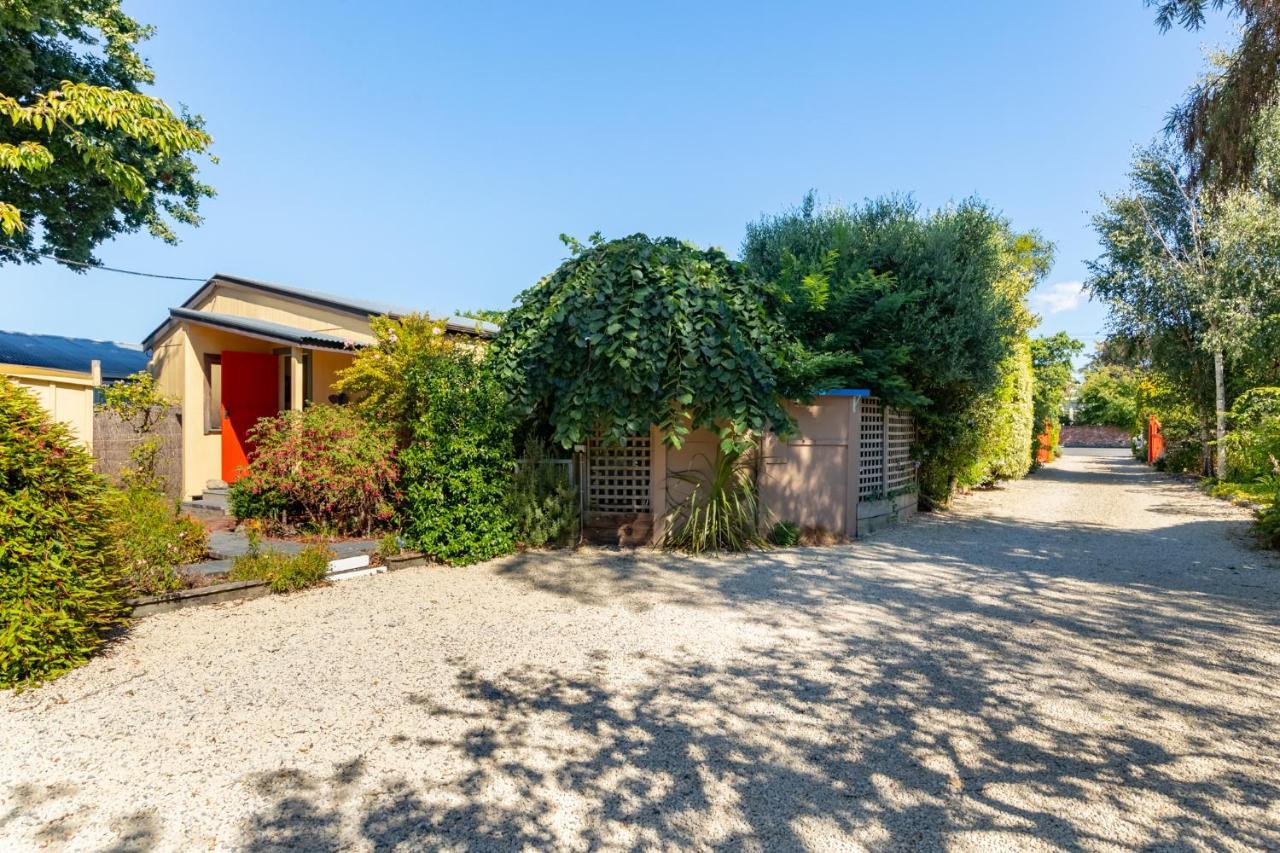 Shy Cottage And Studio Greytown Bagian luar foto