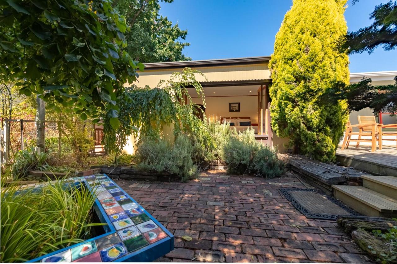 Shy Cottage And Studio Greytown Bagian luar foto