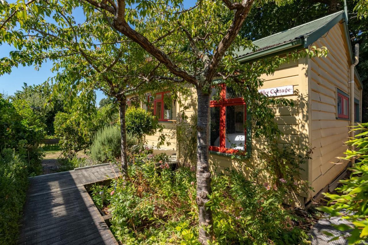 Shy Cottage And Studio Greytown Bagian luar foto