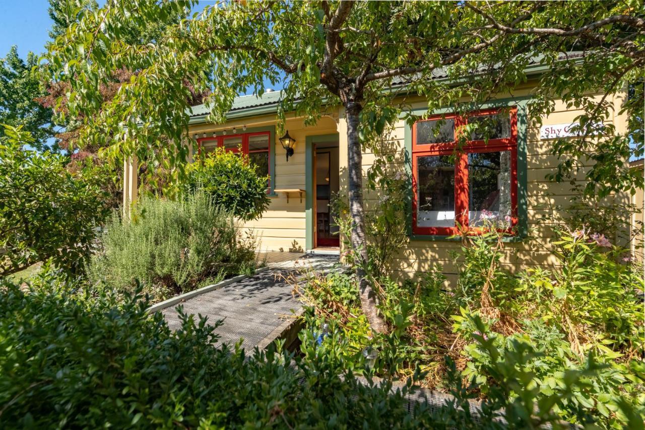 Shy Cottage And Studio Greytown Bagian luar foto