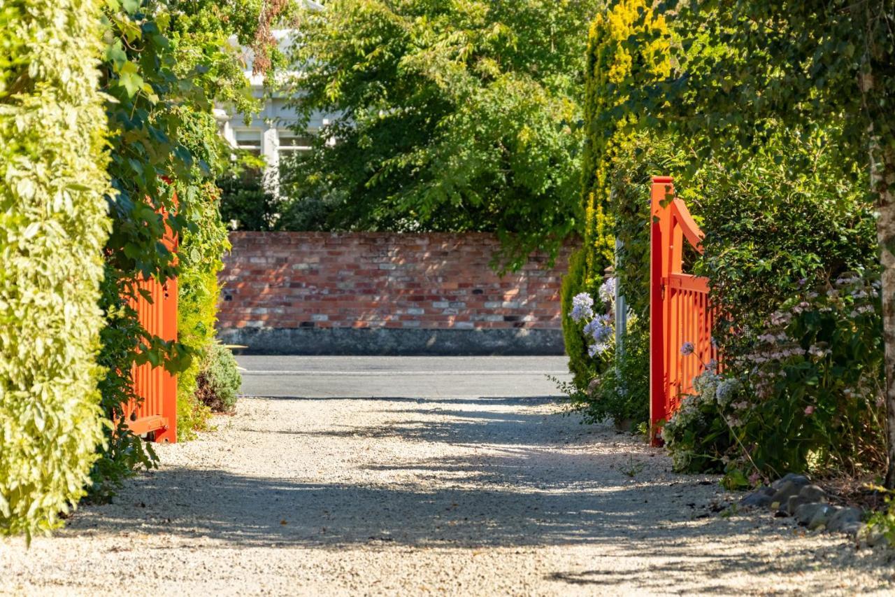 Shy Cottage And Studio Greytown Bagian luar foto