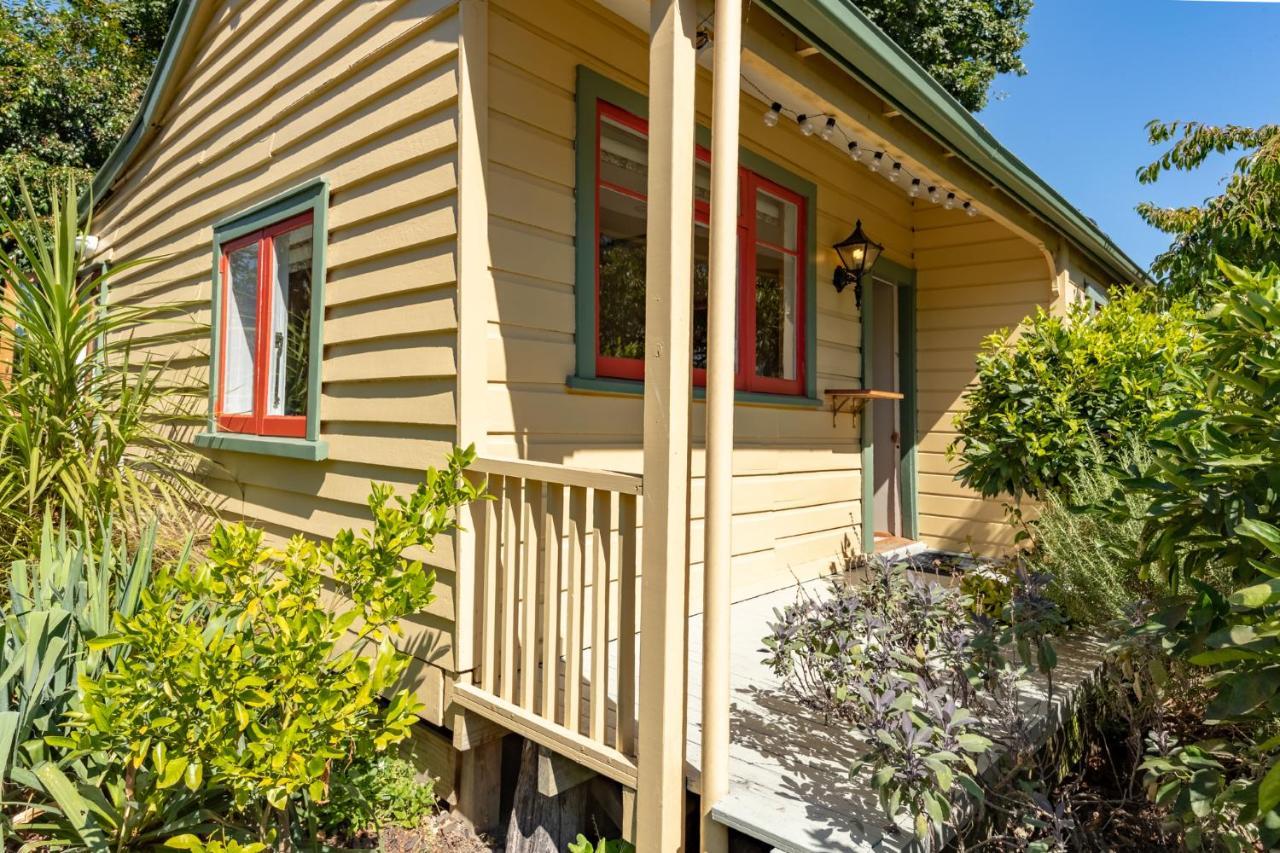 Shy Cottage And Studio Greytown Bagian luar foto