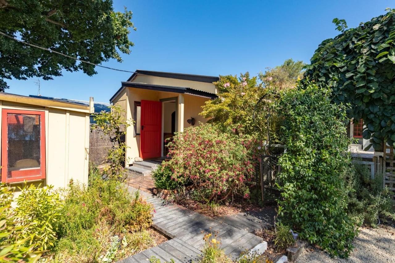 Shy Cottage And Studio Greytown Bagian luar foto